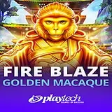 fire blaze golden macaque