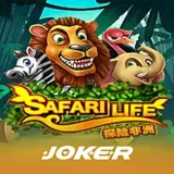 safari life